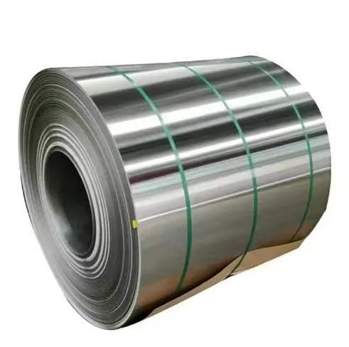High Temperature Resistance Stainless Steel Strip for Chemical Processing Equipment