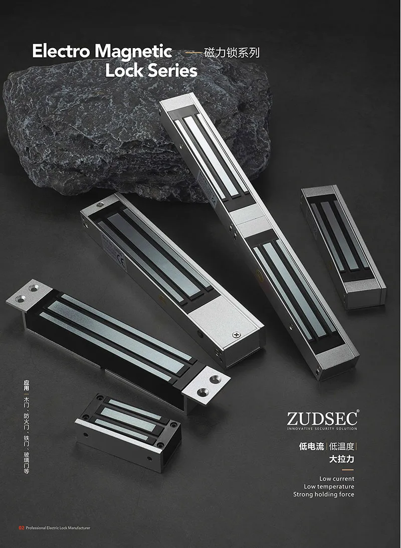 Magnetic Lock Detail 1