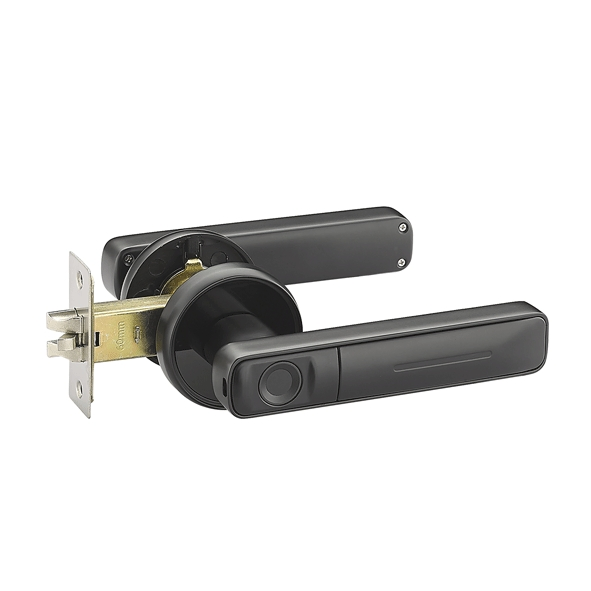 Electronic Modern Fingerprint Code Magnetic Combination Handle Smart Door Lock