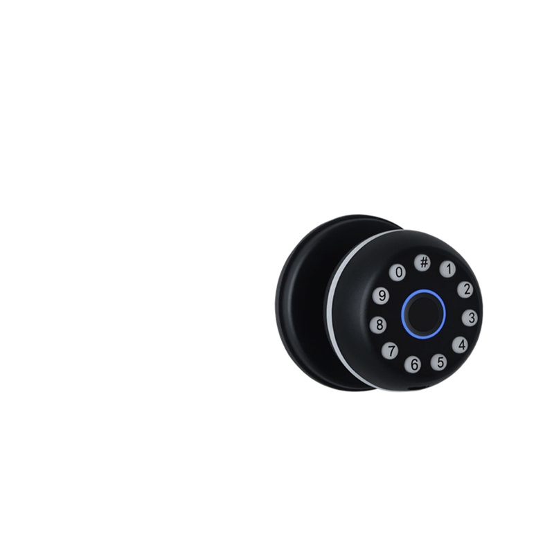 Heavy-Duty Alloy in The CS8 Smart Lock