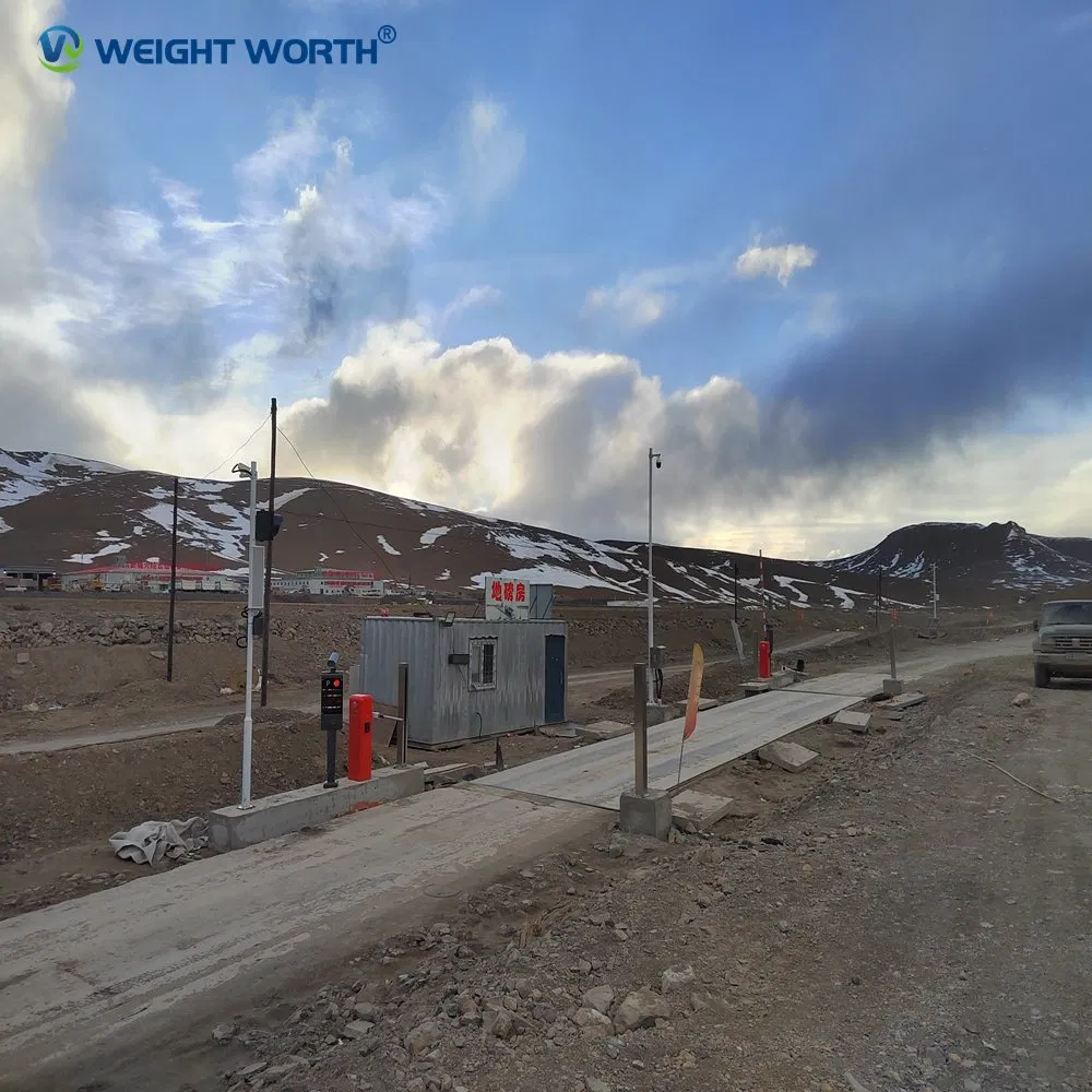 Smart Unattended Weighing Systems with Integrated Access Control Technology