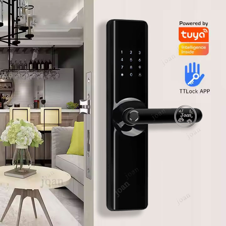 French Voice Speaker WiFi Remote IC Card Tuya WiFi Remote Control Ttlock APP Fingerprint NFC Smart Home Door Lock