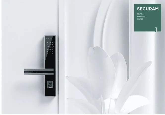 Smart Door Lock Features Display