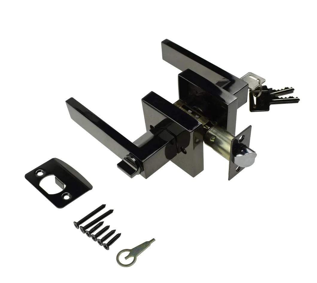 Modern Door Lock Detail