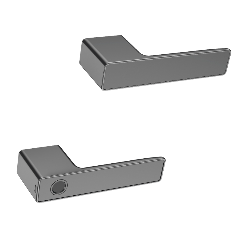 OEM Smart Fingerprint Door Handle Lock with Magnetic Mortise for Residential and Commercial Use