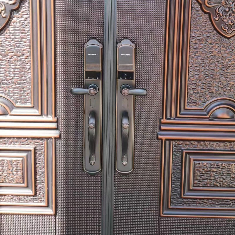 Villa Entrancy Door Visible Fingerprint Password Smart Lock