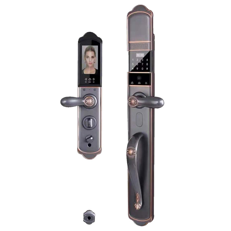 Villa Entrancy Door Visible Fingerprint Password Smart Lock