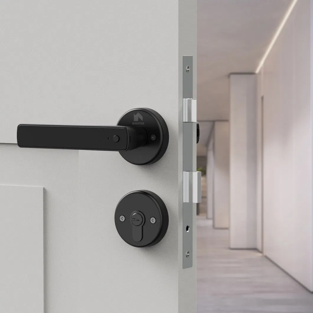 Smart Lock Feature 1