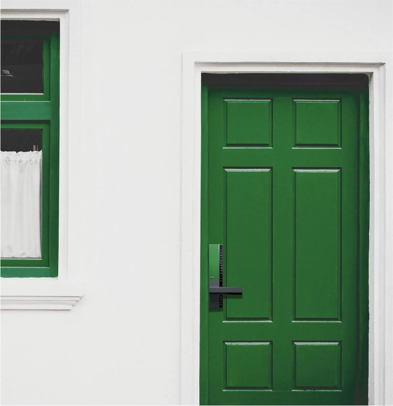 Advanced High Security Finger Vein Smart Door Lock V8 Spring Green