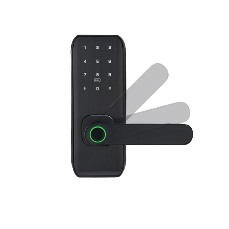 Fingerprint Digital Password Card WiFi/Tt-Lock Digital Smart Door Lock