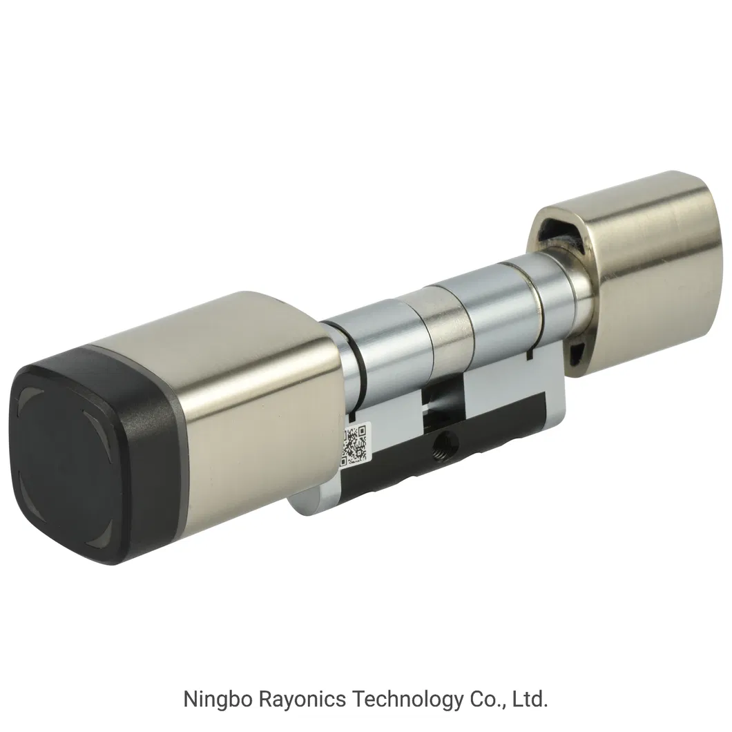 Electronic Euro Profile Lock