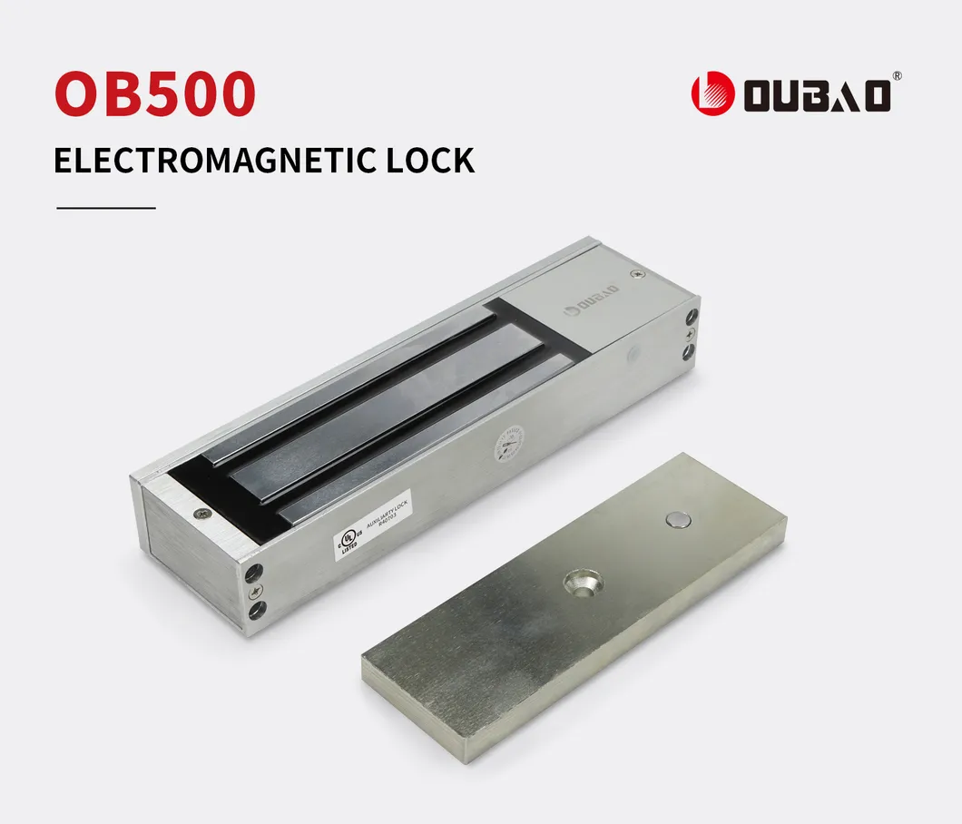 Magnetic Lock Details 1