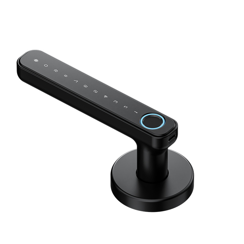 Apartment Smart Lock Door Handle Password Unlock Electronic Code Lockfingerprint Door Lock
