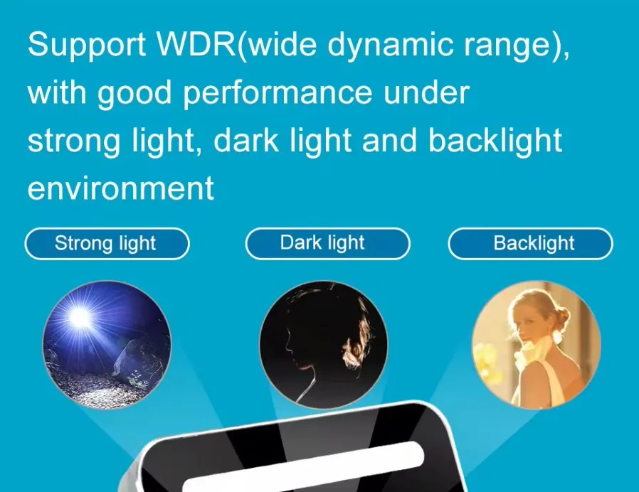 Recognition Interface