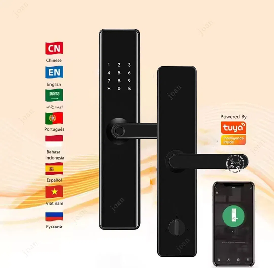 French Voice Speaker WiFi Remote IC Card Tuya WiFi Remote Control Ttlock APP Fingerprint NFC Smart Home Door Lock