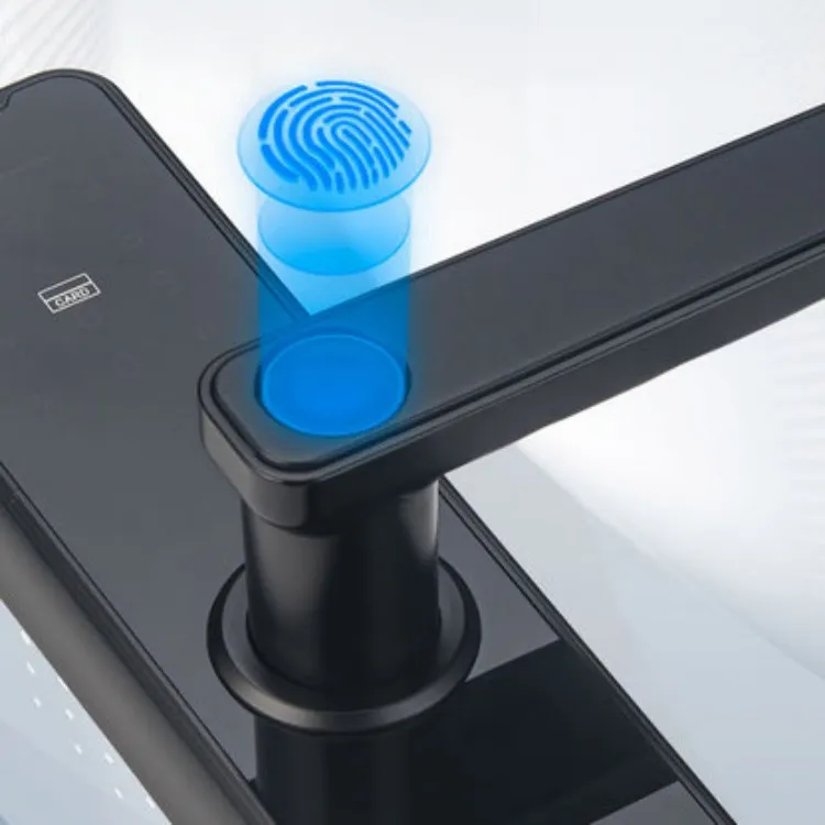 Smart Lock Feature 4