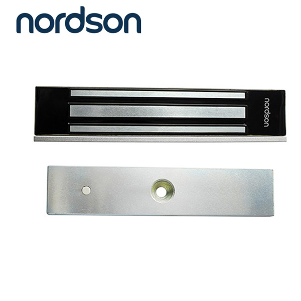 Stainless Steel Waterproof Outdoor Access Control Door Magnetic Pin Lock System