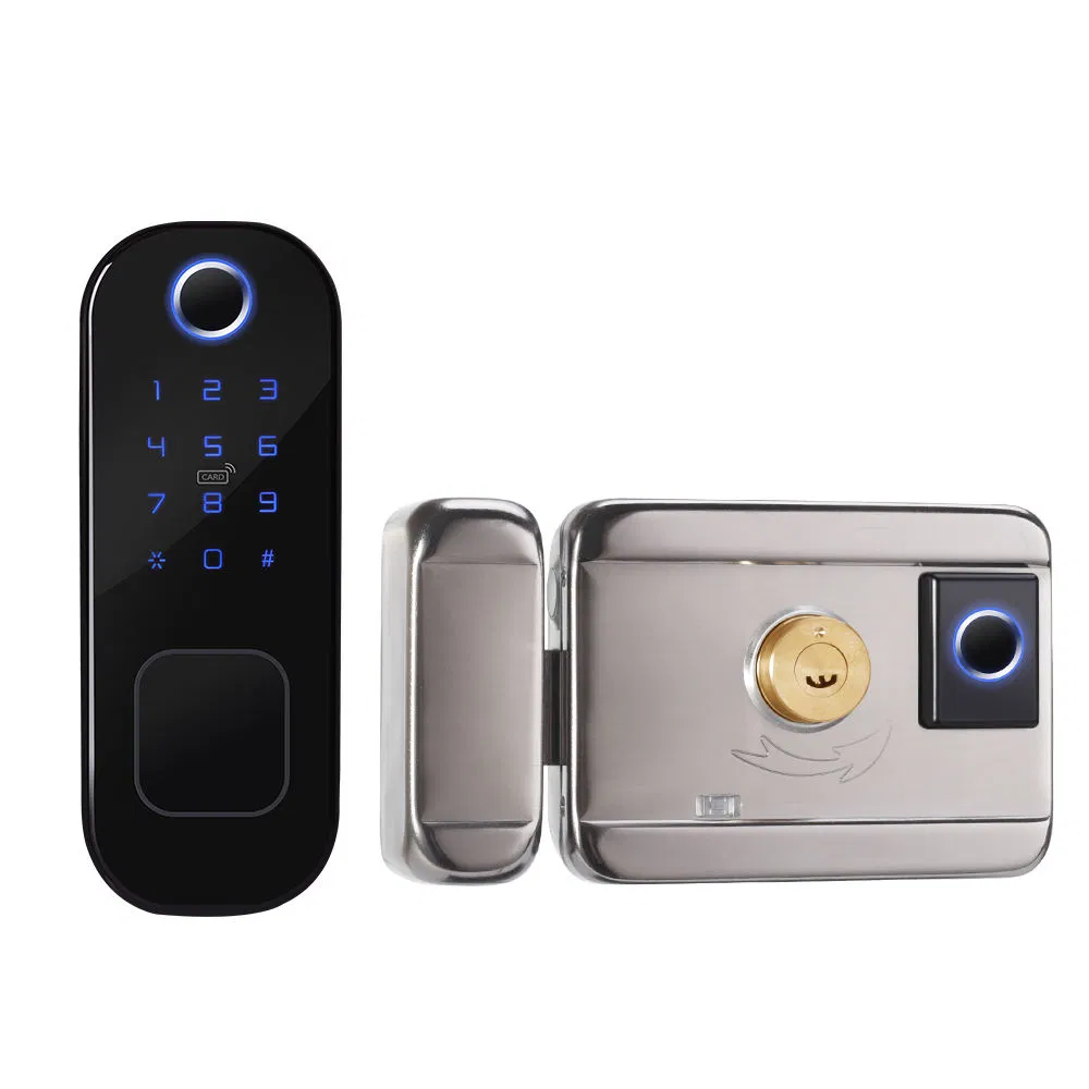 Leading Enterprises Fingerprint Recognition Digital Combination Door Lock