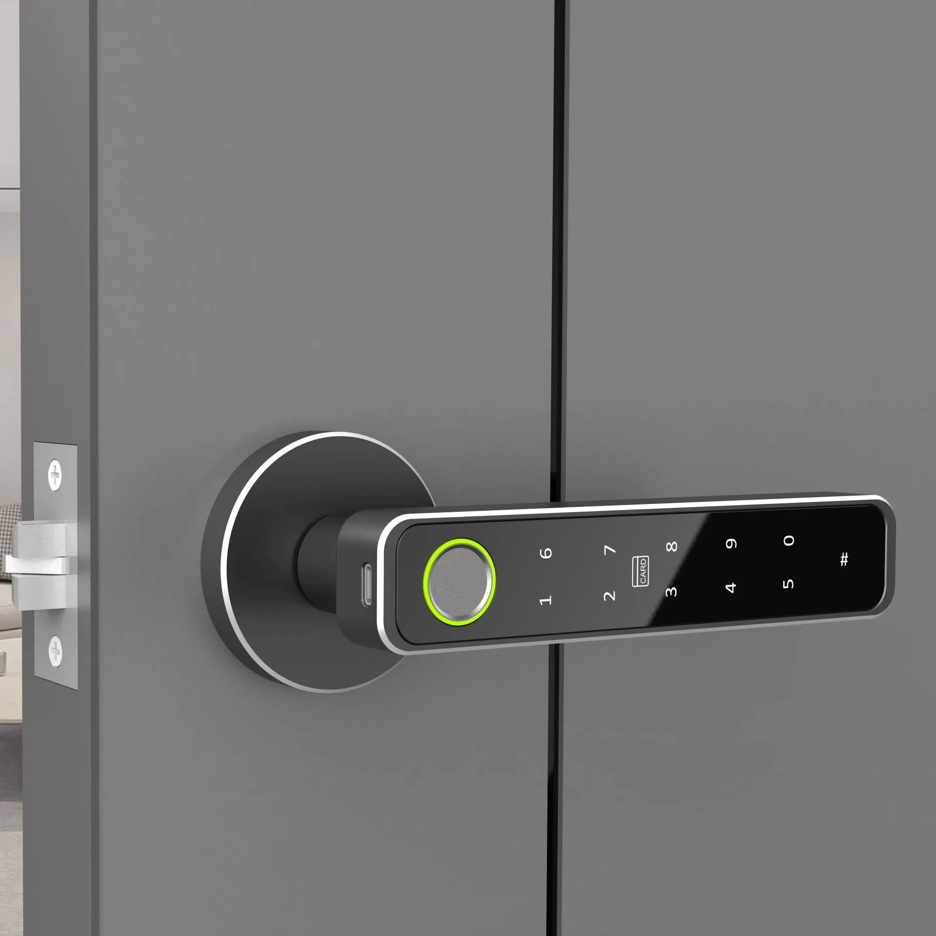 Smart Lock View 1