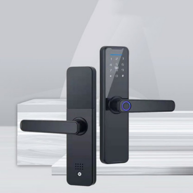 Tuya WiFi Lock Electronic Smart Lock Ttlock Tuya Smart Door Lock Passcode Fingerprint Door Lock