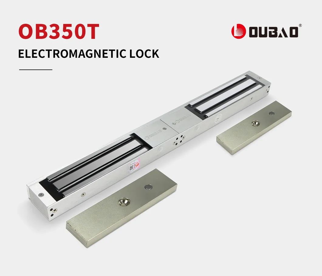 Double Door Magnetic Lock View 1