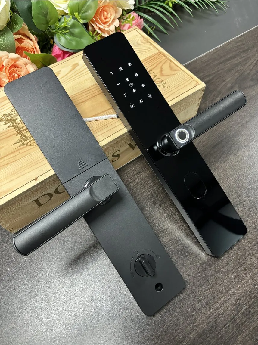 Smart Door Lock Voice Support