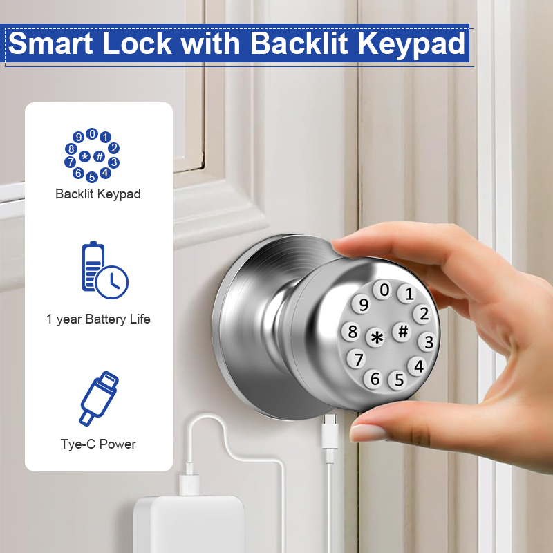 Indoor Ball Lock Electronic Smart Door Lock Tuya APP Password Lock