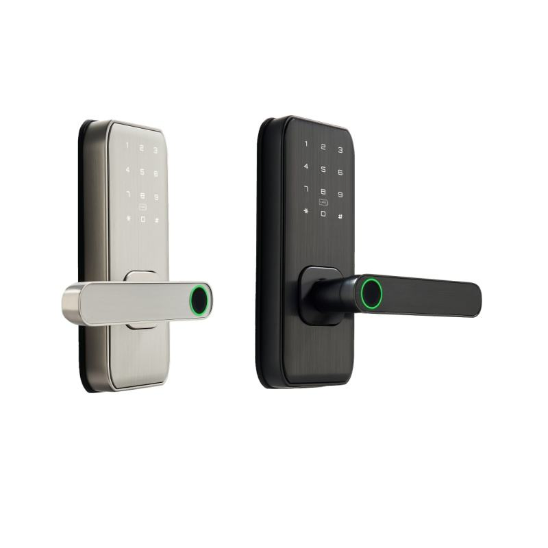 Fingerprint Digital Password Card WiFi/Tt-Lock Digital Smart Door Lock