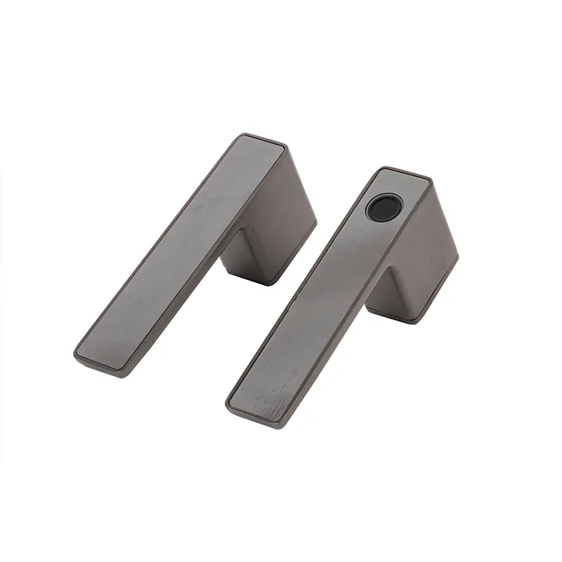 Smart Lock Mechanism