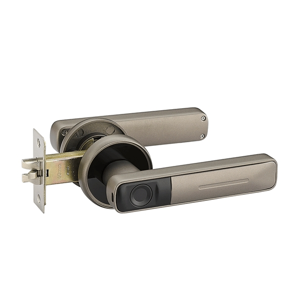 Electronic Modern Fingerprint Code Magnetic Combination Handle Smart Door Lock