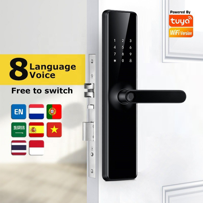 French Voice Speaker WiFi Remote IC Card Tuya WiFi Remote Control Ttlock APP Fingerprint NFC Smart Home Door Lock