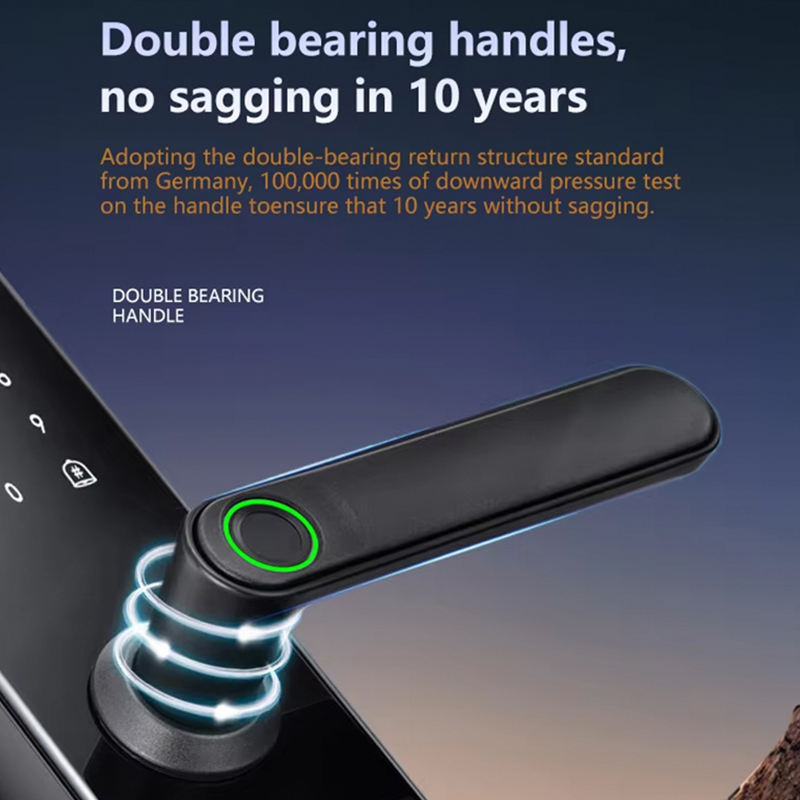 Smart Door Lock Fingerprint RFID Card Password Waterproof WiFi Cloud Storage Grade C Security Iron Material