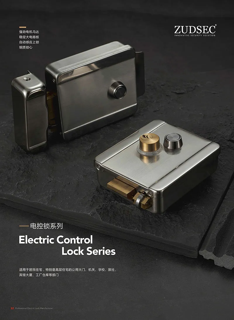 Magnetic Lock Detail 3