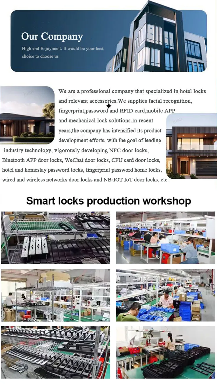 Company Introduction