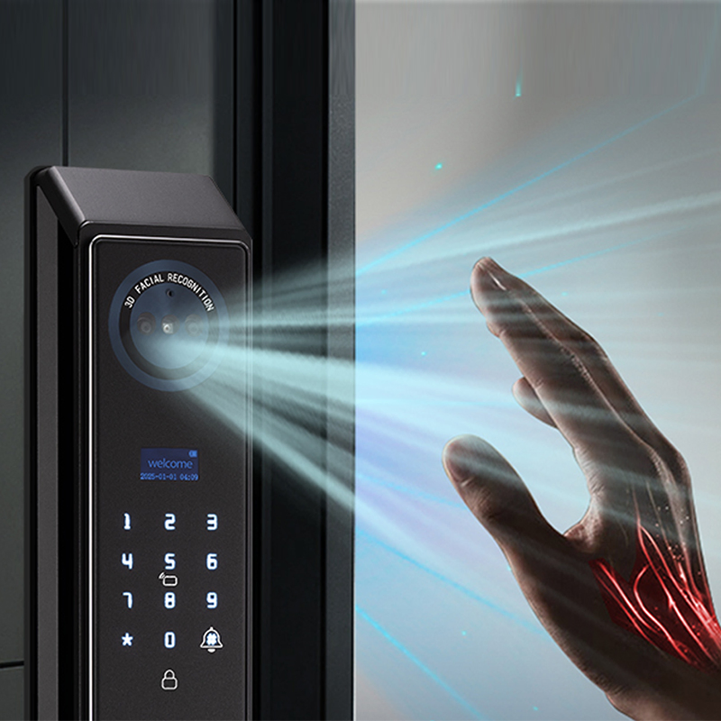 Hot Sale OEM 3D Face Camera Invisible Smart Lock for Front Door