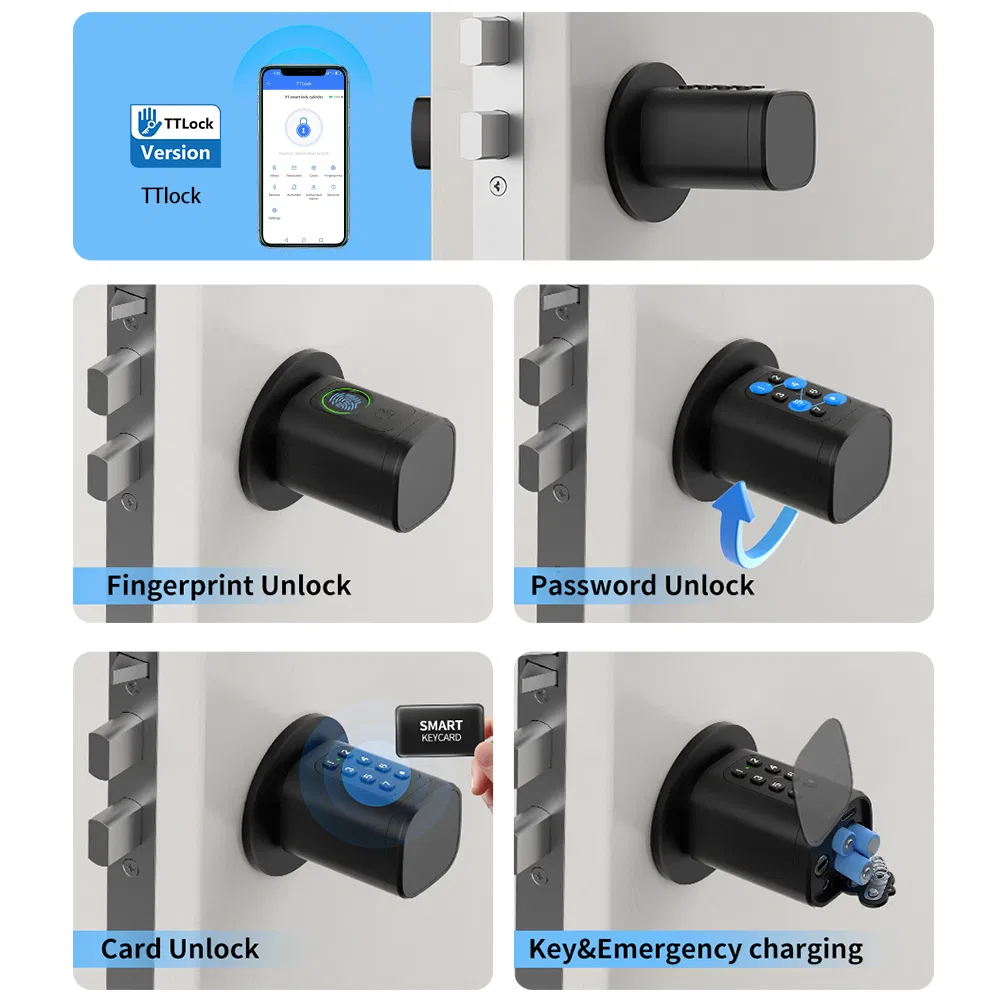 Ttlock APP Fingerprint and Password Smart Door Cylinder Lock with Europe Standard