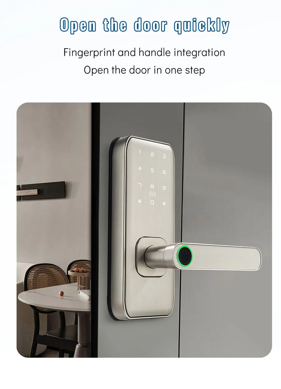 Fingerprint Digital Password Card WiFi/Tt-Lock Digital Smart Door Lock