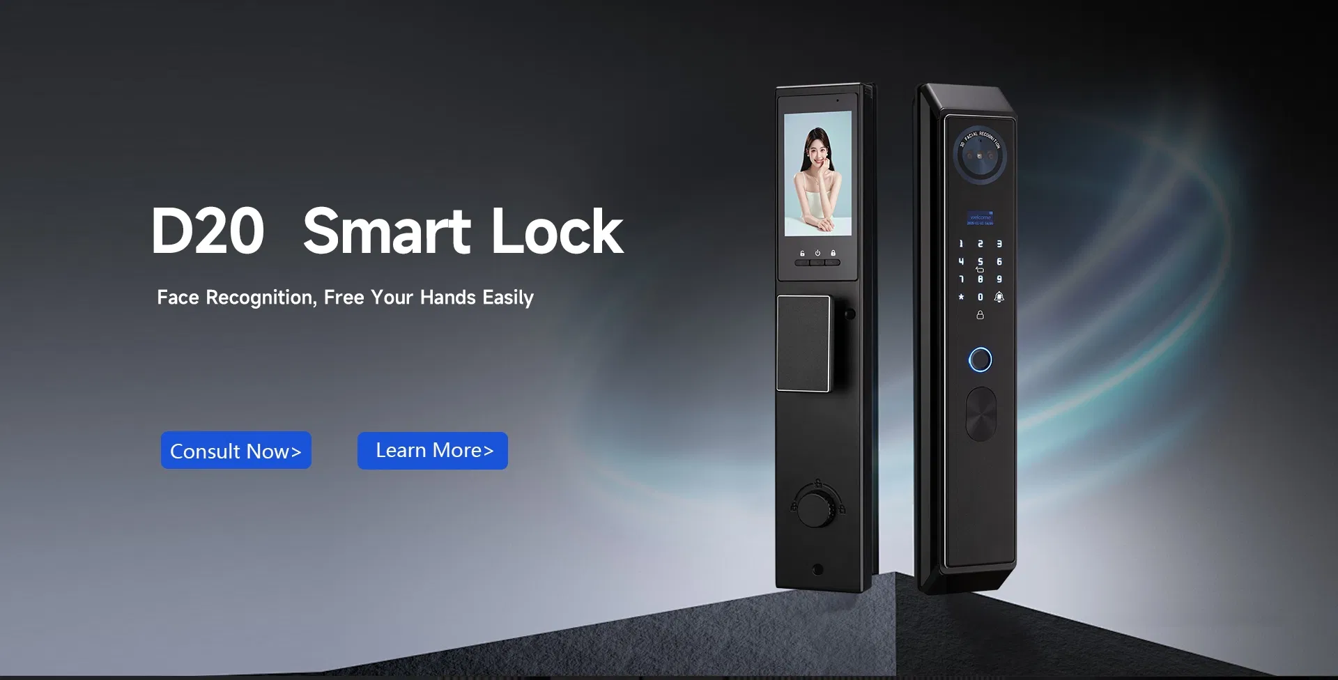 D20 Smart Lock Overview