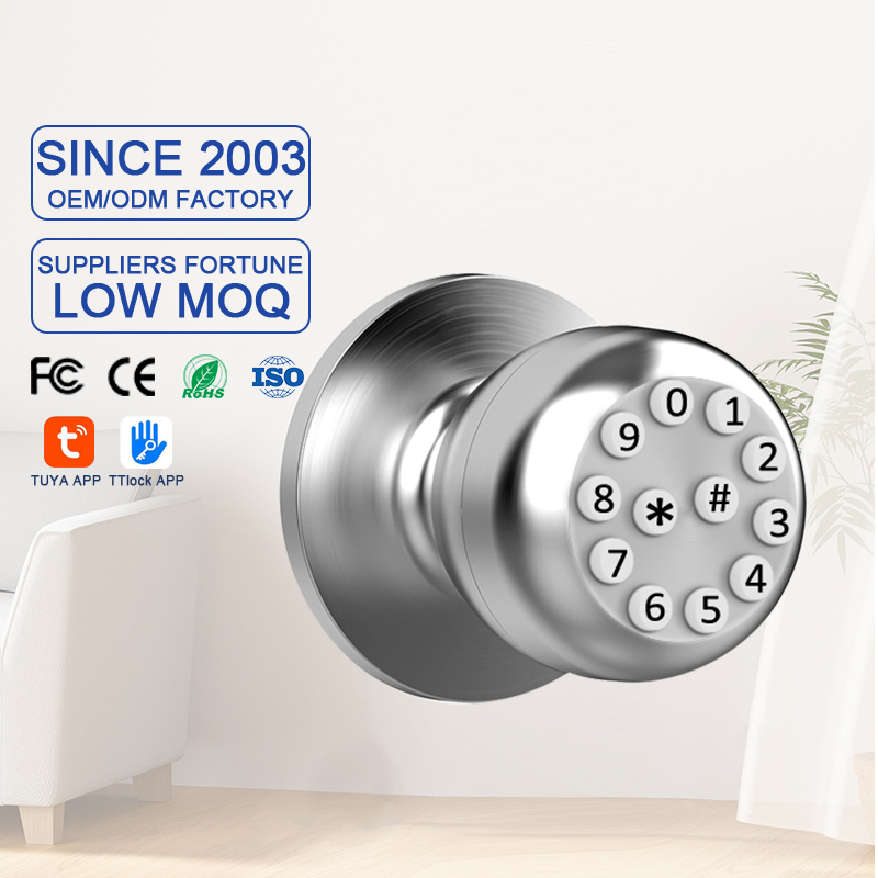 Indoor Ball Lock Electronic Smart Door Lock Tuya APP Password Lock