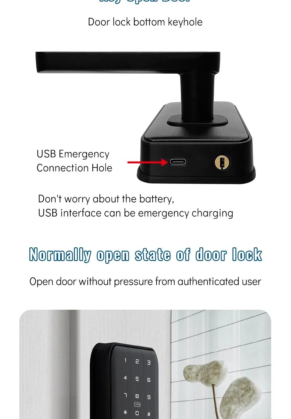 Smart Lock Detail 11
