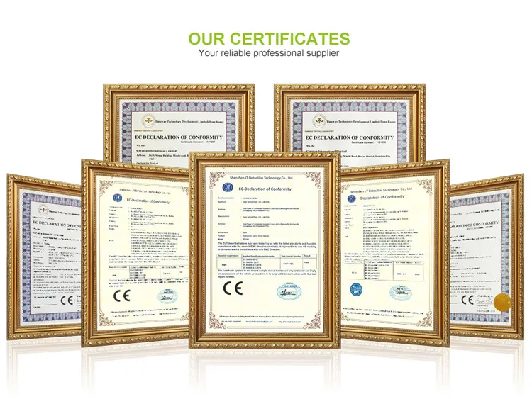 Recognition System 11