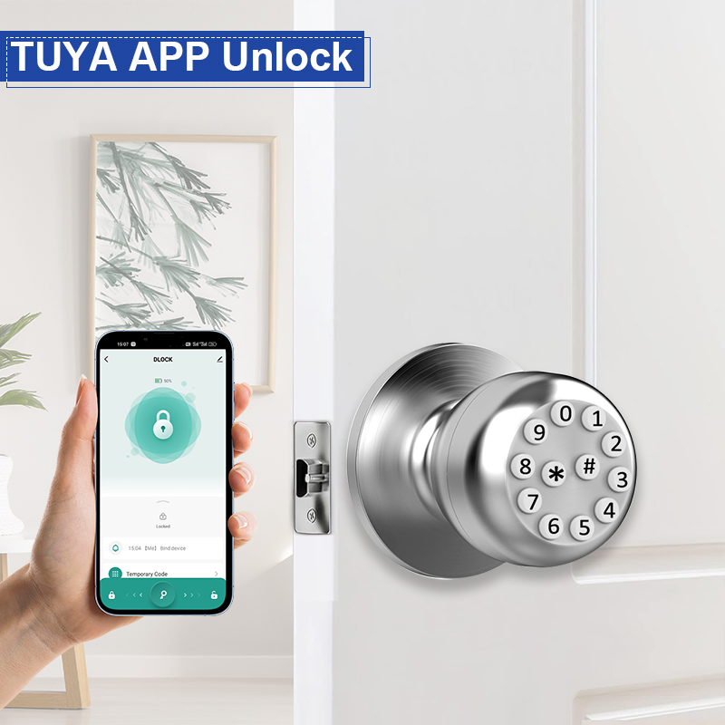 Indoor Ball Lock Electronic Smart Door Lock Tuya APP Password Lock