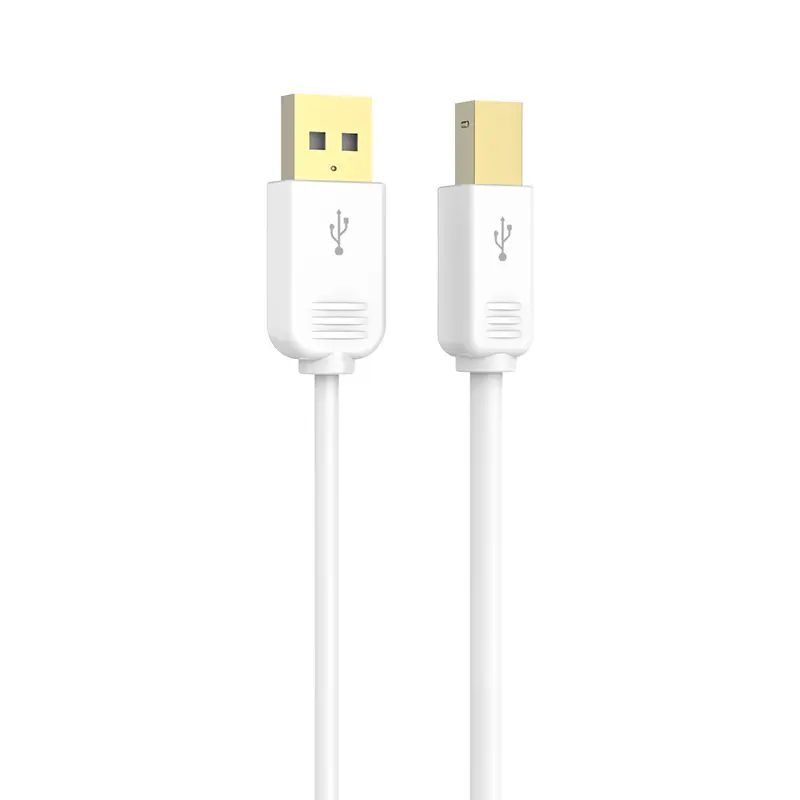 Famous USB Type A to B 2.0 Printer Cable - MP366 Manufacturers, Exporters