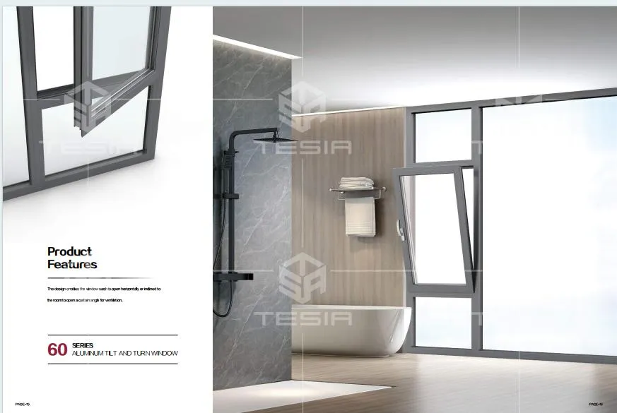 Detalle Ventana 1
