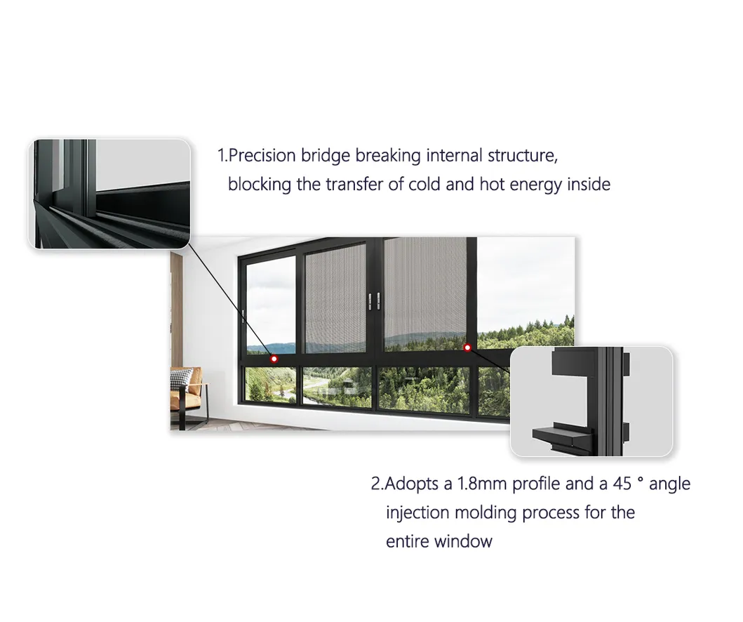 Descripción 5