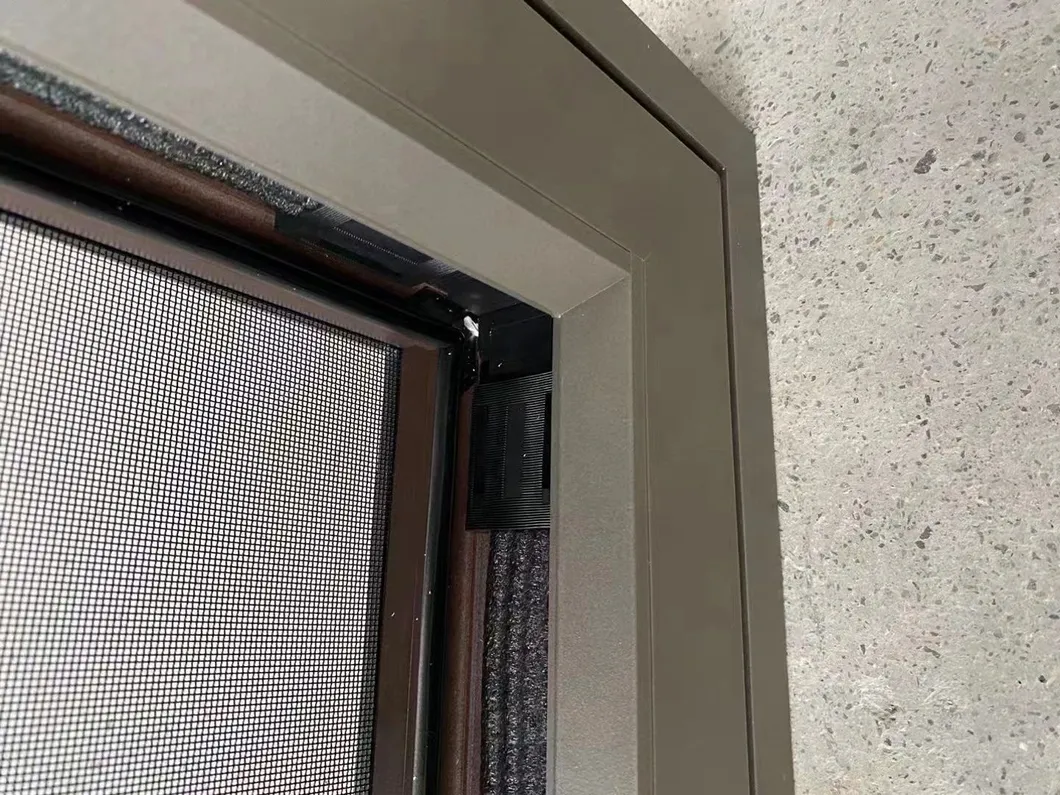 Ventana detalle 12