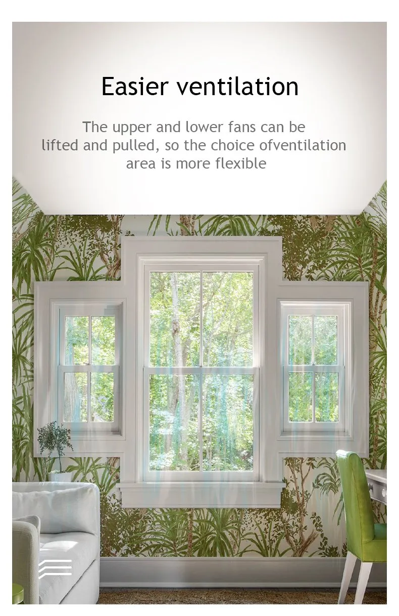 Ventana 4