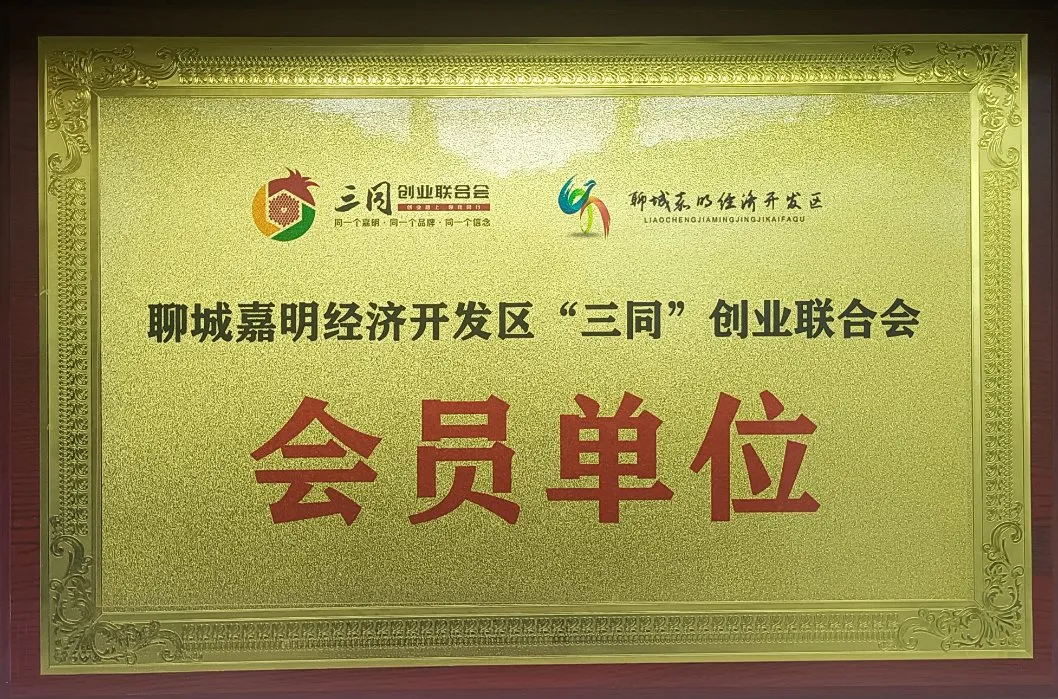Certificado 3