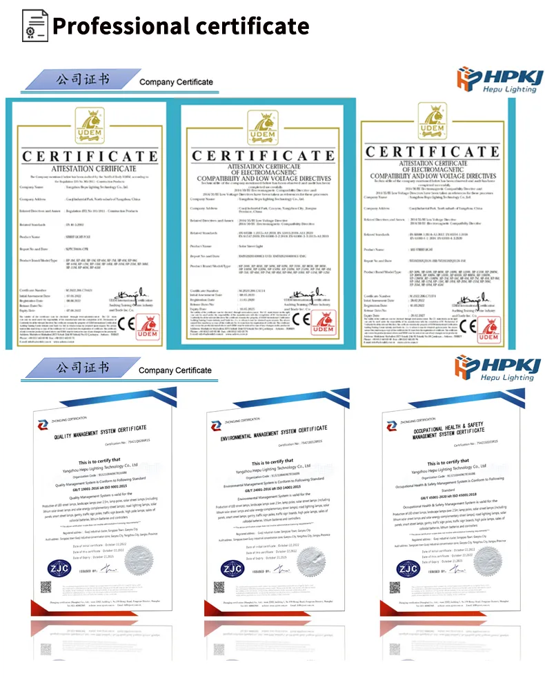 Certificado profesional 1