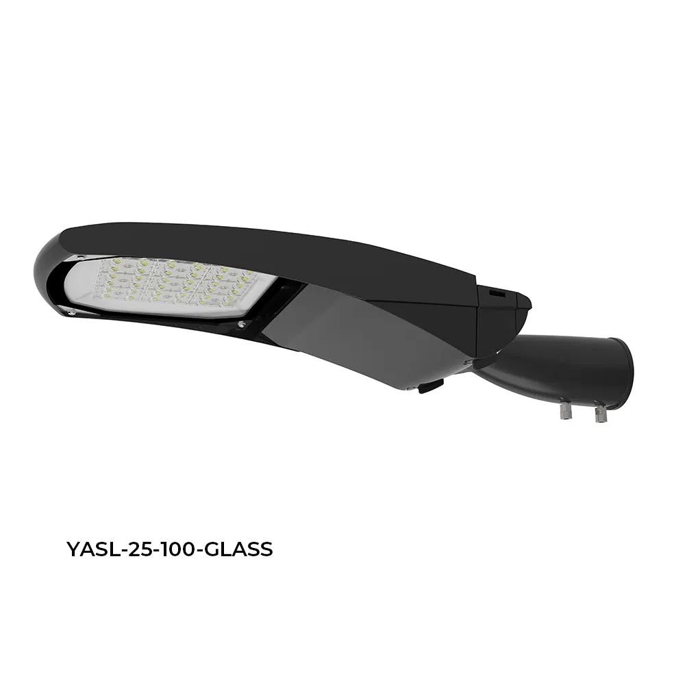 Garantía de Calidad de Aluminio de Fundición a Presión para Iluminación Exterior 30W 60W 120W 240W Impermeable IP66 Farola
